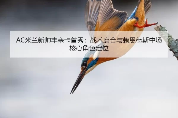 mi-lan-xin-shuai-feng-sai-ka-shou-xiu-zhan-shu-mo-he-yu-lai-en-de-si-zhong-chang-he-xin-jue-se-ding-wei-3-970.jpg
