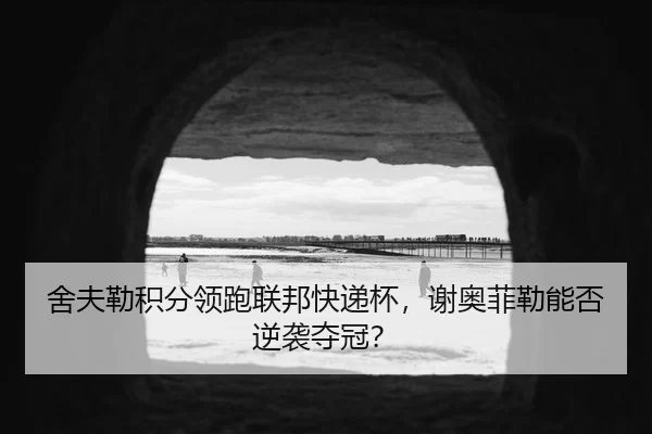 she-fu-lei-ji-fen-ling-pao-lian-bang-kuai-di-bei-xie-ao-fei-lei-neng-fou-ni-xi-duo-guan-2-728.jpg